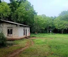 House with land near Katharagama main road