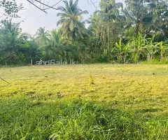 Prime 40-Perch Land for Sale in Buttala