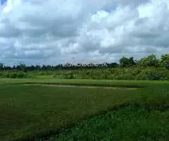 Lakefront Land for Sale – 14 Perches in Bolgoda