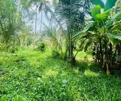 Land for Sale in Kurunegala – 50 Perches