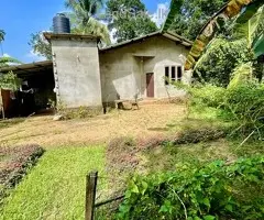 Land for Sale in Gampaha, Delgoda – Affordable Price!