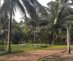 0 Acres of Coconut Land for Sale in Pannala