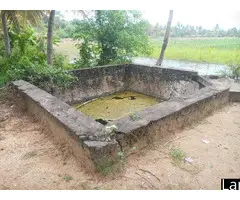 Urgent Sale 4Acre Productive Paddy Field in Hidogama Anuradhapura