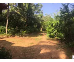 Urgent Sale Prime Land Bordering Dambulla Town Ideal for Development