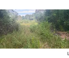 Prime HalfAcre Land for Sale in Hurulu Nikawewa Galenbidunuwewa Ideal for Home or Business