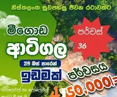 🌴 36 Perch Coconut Land for Sale in Artigala, Homagama! 🏡✨ (20m to 219 Bus Route)