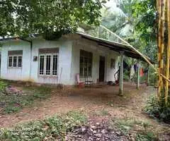 🏡 A Rare Investment Opportunity in Galle - Perfect for a Hotel, Business, or Your Own Estate! ✨
