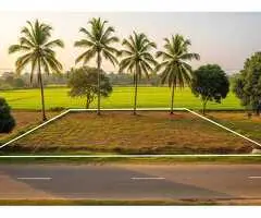 Prime Residential Land in Kalutara, Facing a Scenic Paddy Field!