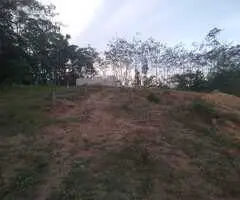 🌳 Prime Land for Sale in Eheliyagoda, Udumatta! ✨
