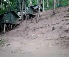🏕️ Valuable Land in Ampitiya for Business or Resort!🌱 ✨