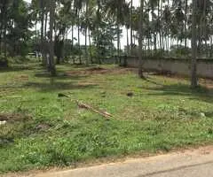 🌟 Prime Land for Sale in Tangalle: Perfect for a Residence or Investment! 🌳🏡