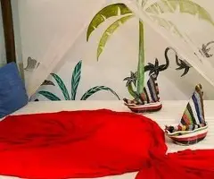 🏡 Mirissa Villas for Sale/Rent | 50 Perches | Ocean Giants Villa