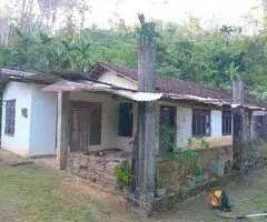 🌳 3-Acre Beautiful Land with a House for Sale in a Tranquil Environment in Galigamuwa