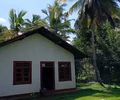 ​🏡🌳 Walasmulla | Nidangoda Alla: Prime Land with a House for Residential and Commercial Purposes! ✨