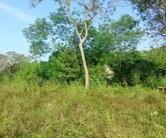 Prime 184-Perch Land for Sale in Tangalle, Kahadamodara