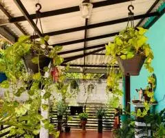 කුරුණෑගල අංග සම්පූර්ණ නිවසක් සහිත ඉඩමක් විකිණීමට! ලක්ශ 58/=