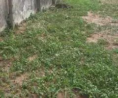​🌟 Urgent Sale: 14 Perch Land with Clear Deeds Near Kadawatha,