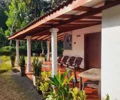 *🌿 For Sale– 257 Perch Land with House – Avissawella, Hanwella, Pugoda Area (Colombo District)*