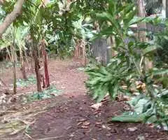 Land for sale in kottawa