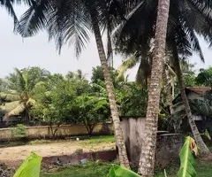 *🔑 For Sale:* 24 Perch Fertile Land near Weliweriya Town